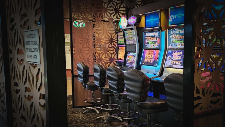How Australia’s politicians got hooked on gambling