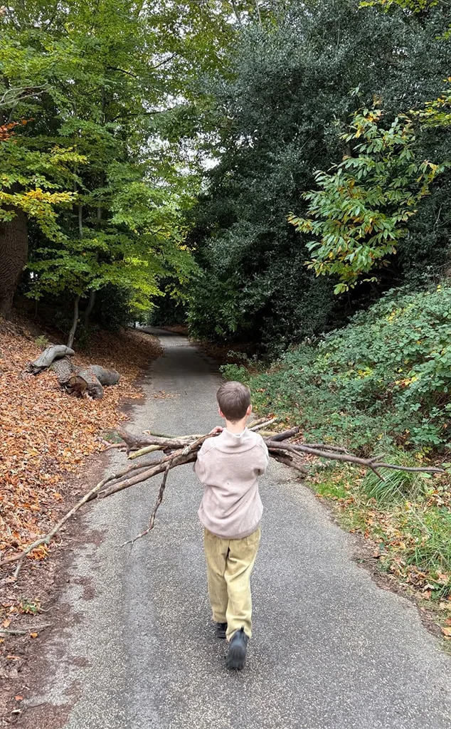 <p>The Stick Gatherer</p>