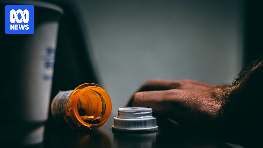 Common antidepressant helps reduce some men's domestic violence, ReINVEST trial finds