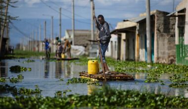 Africa needs more green financing to unlock growth: report