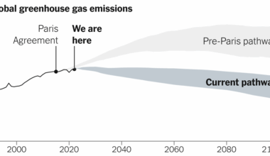 10 Years After the Paris Climate Agreement, Here's Where We Are