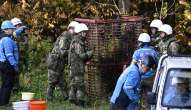 What’s behind a surge in bear attacks in Japan? | Wildlife News
