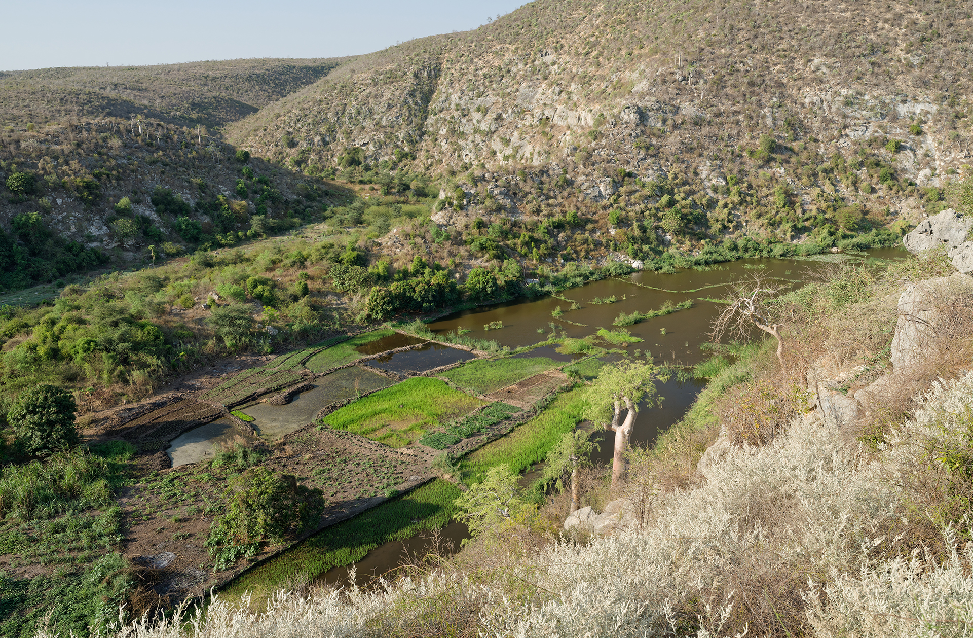 Aerial view of cropland
