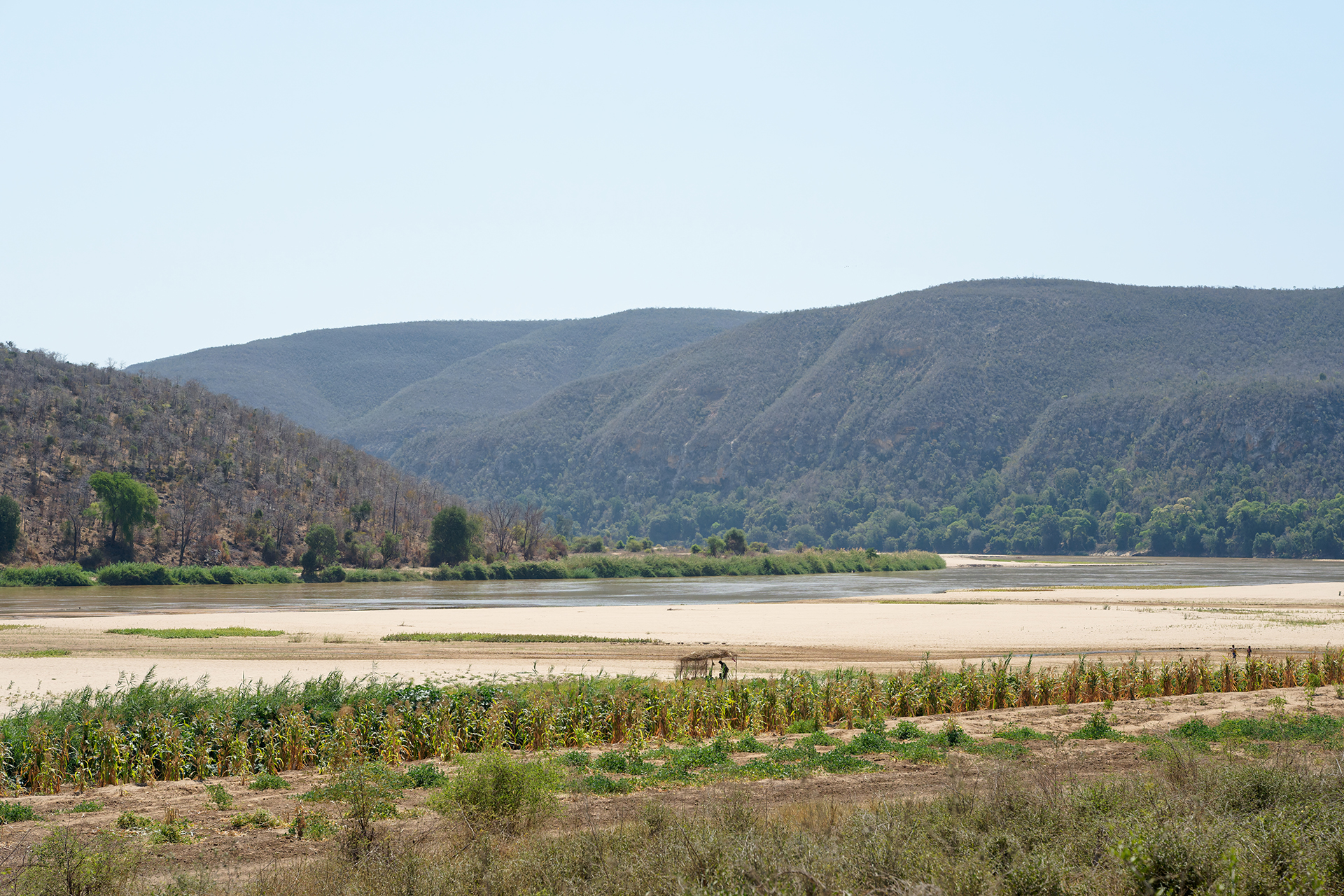 A landscape shot of cropland
