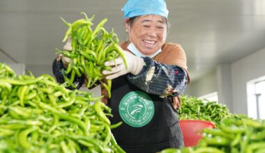 Chinese scientists develop artificial tongue to measure spiciness-Xinhua