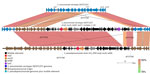 Near sequence identity shared between pneumococcal isolates 1–15 and Streptococcus pseudopneumoniae strain 315_SPE in mobile element insertion region in study of independent acquisitions of multidrug resistance gene lsaC in serotype 20/ST1257 S. pneumoniae isolates, United States. The near-identical region includes much of the mobile element itself, and flanking genes that diverge from pneumococcal parental recipient strain (top). The EasyFig (20) output homology was modified to reflect boundaries between marked homology differences between the 2 pneumococcal strains (focused upon orf17 only) and between the middle pneumococcal strain and the below S. pseudopneumoniae strain (encompassing the last 3 orfs of the mobile elements and most of orf17). ST, sequence type.