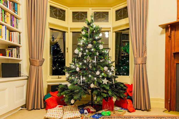 Beautiful Christmas tree illuminated at night with reflection in bay windows plus gifts and stockings