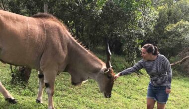 Opportunity beckons in east Africa says Kildare woman based there for 20 years – The Irish Times