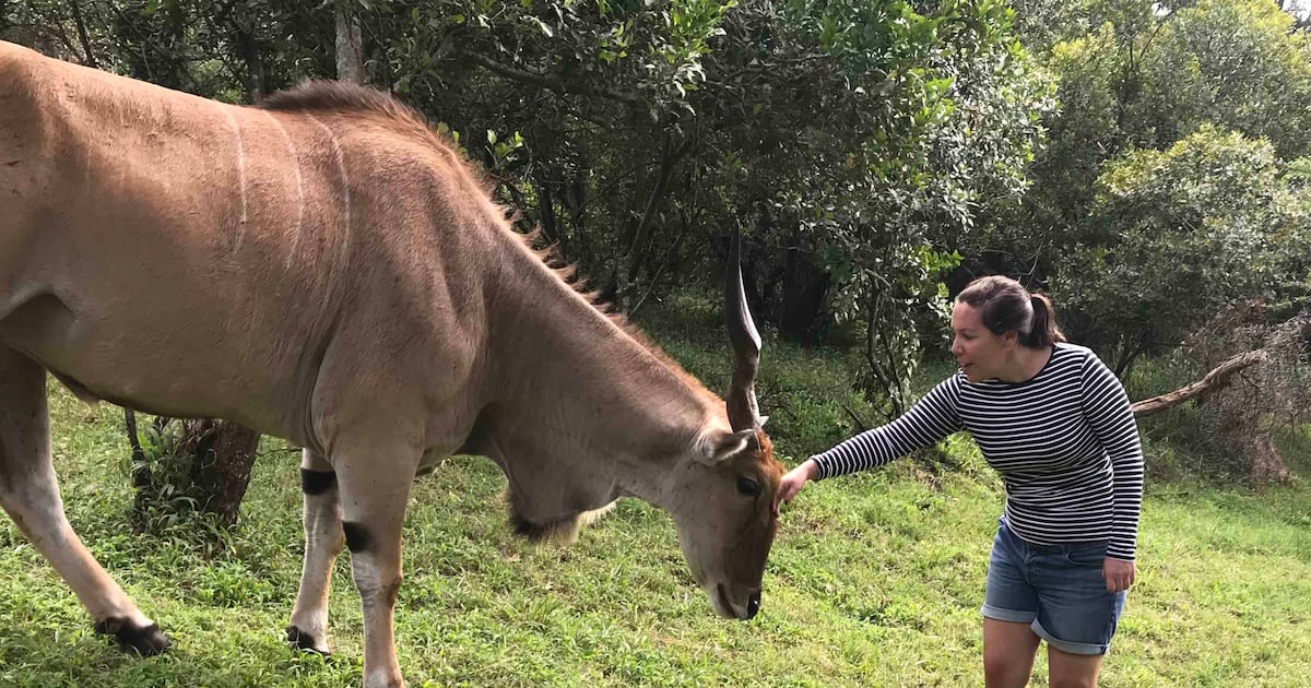 Opportunity beckons in east Africa says Kildare woman based there for 20 years – The Irish Times