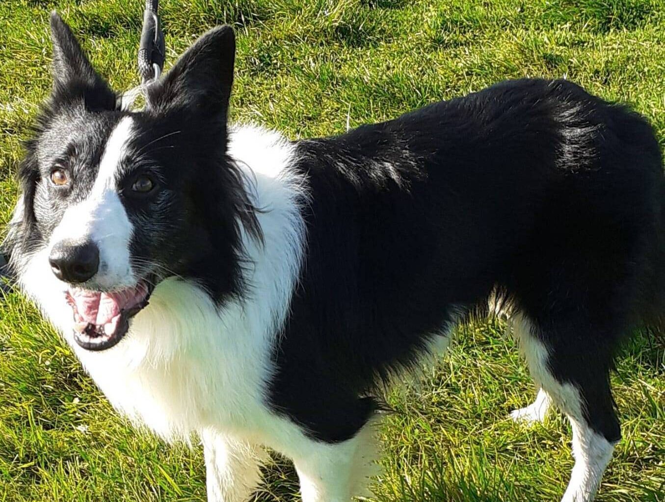 Christmas Fair taking place on Sunday - Whats On