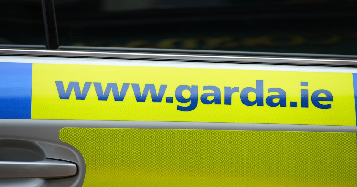 Two men detained in operation against far-right terror group due in court in Co Offaly – The Irish Times