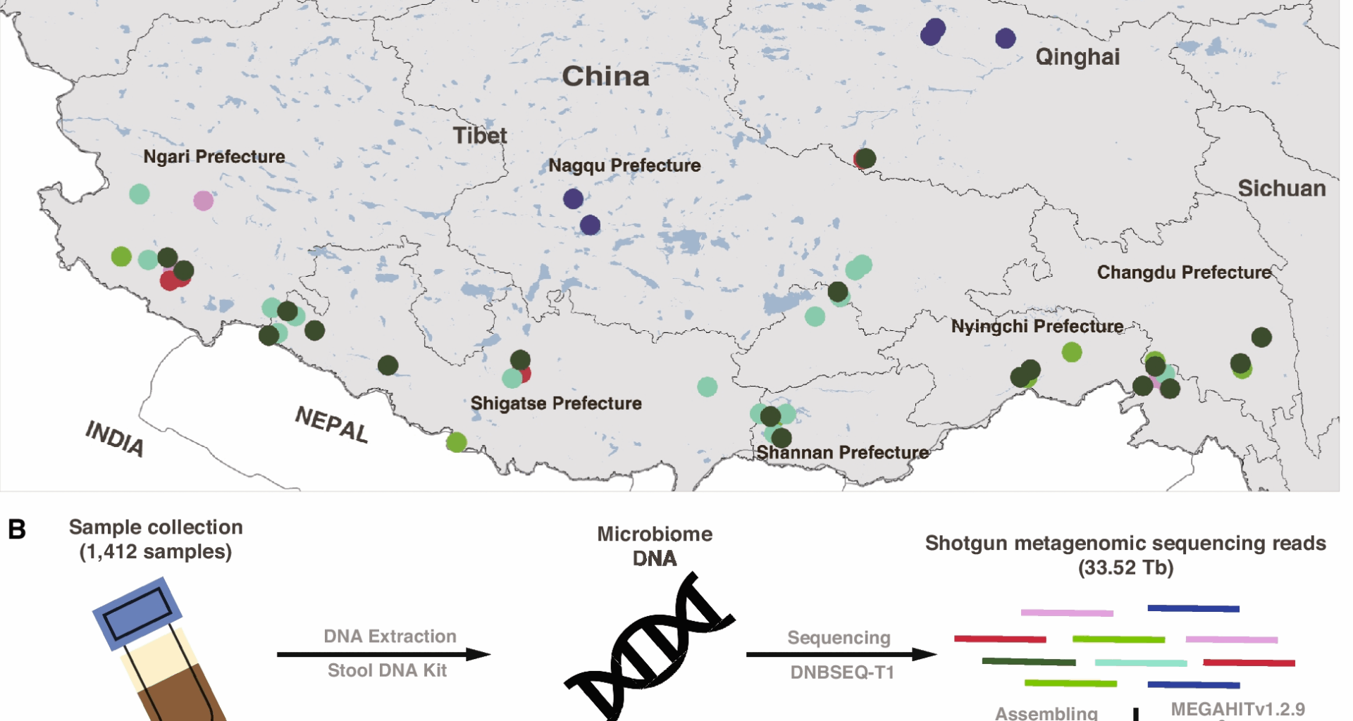 A unified catalog of 14,062 microbial species reference genomes provides new insight into the gut microbiota in high-altitude mammals | Microbiome