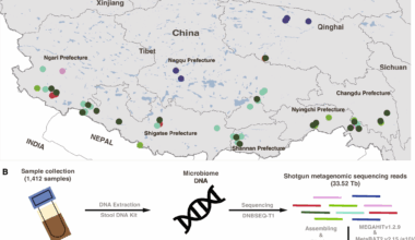 A unified catalog of 14,062 microbial species reference genomes provides new insight into the gut microbiota in high-altitude mammals | Microbiome