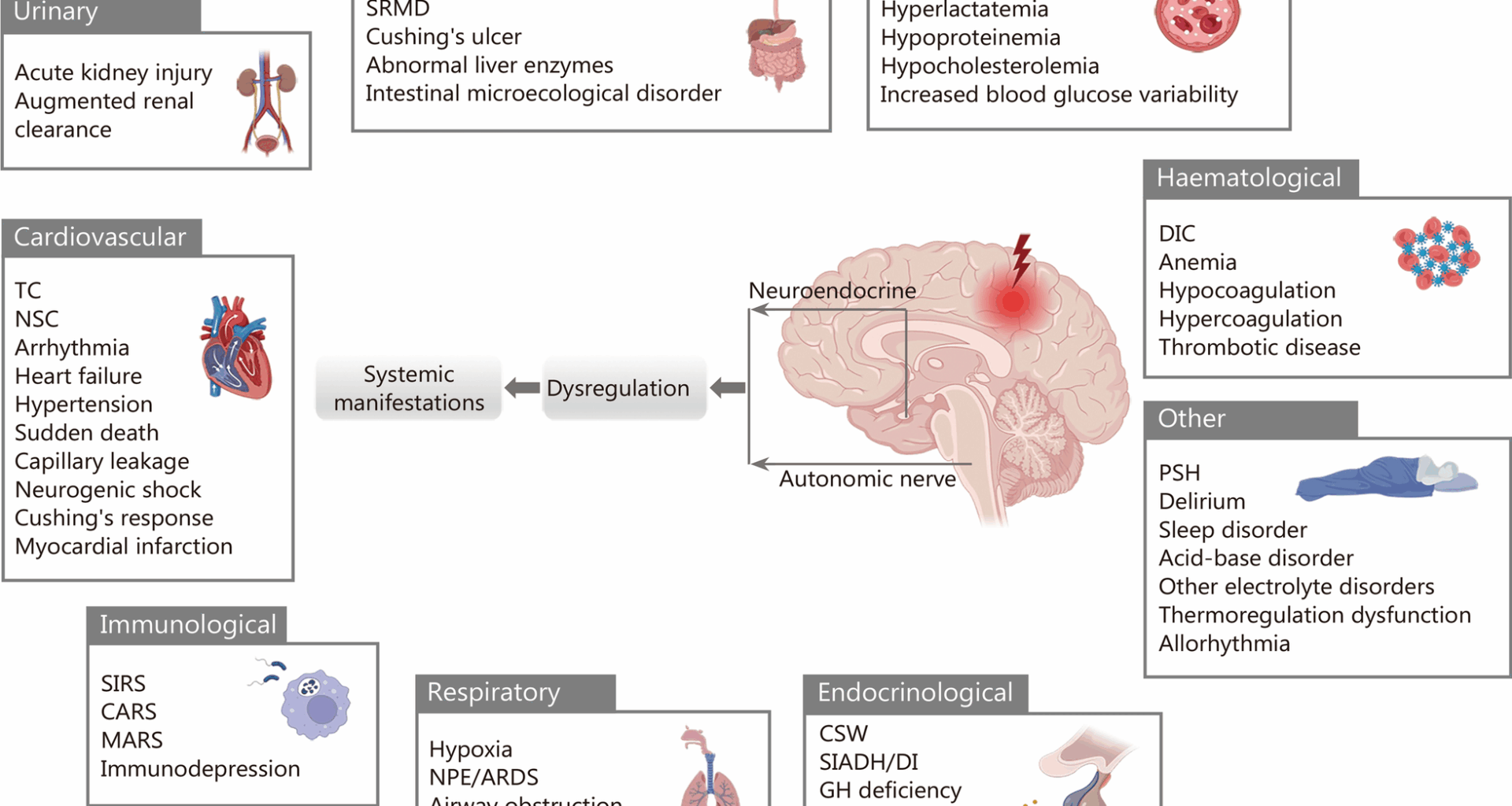 Neurogenic organ dysfunction syndrome after acute brain injury | Military Medical Research