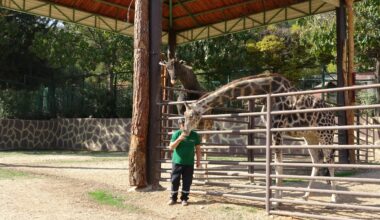 Zoo shows strong bond between giraffes, their caretaker in Türkiye
