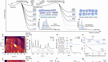 Kinetically-controlled intermediate-direct-pinning for homogeneous energy landscapes in quasi-two-dimensional perovskites for efficient and narrow blue emission