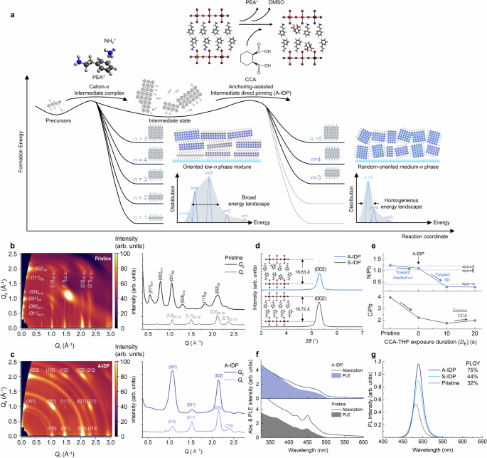 Kinetically-controlled intermediate-direct-pinning for homogeneous energy landscapes in quasi-two-dimensional perovskites for efficient and narrow blue emission