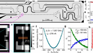 Strong coupling of a superconducting flux qubit to single bismuth donors