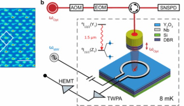 Dual epitaxial telecom spin-photon interfaces with long-lived coherence