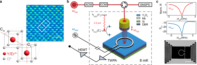 Dual epitaxial telecom spin-photon interfaces with long-lived coherence