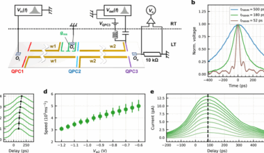 Eigenstate control of plasmon wavepackets with electron-channel blockade