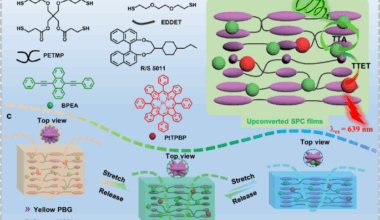 Mechanically steered photon upconversion and circularly polarized luminescence in stretchable photonic crystal films