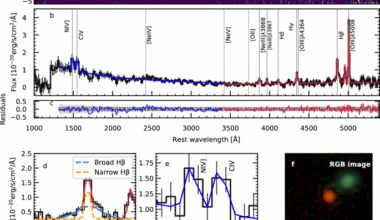 Extreme properties of a compact and massive accreting black hole host in the first 500 Myr
