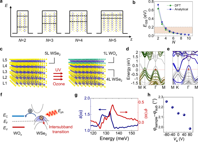 Observation of hyperbolic intersubband polaritons in native-dielectric-doped van der Waals semiconductor quantum wells