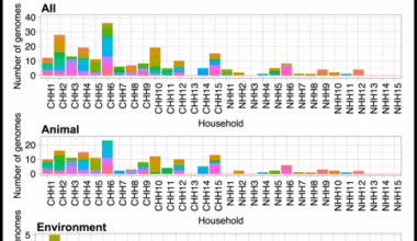 Circulation of Salmonella spp. between humans, animals and the environment in animal-owning households in Malawi