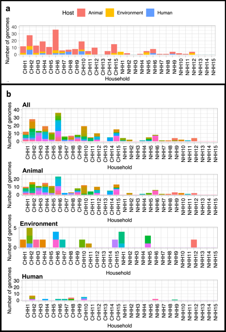 Circulation of Salmonella spp. between humans, animals and the environment in animal-owning households in Malawi