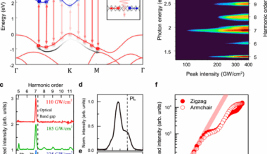 Quantum interference and occupation control in high harmonic generation from monolayer WS2