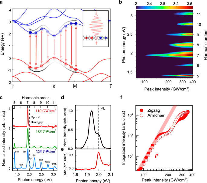 Quantum interference and occupation control in high harmonic generation from monolayer WS2