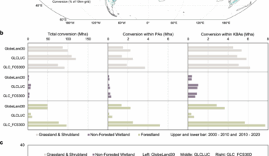Identifying global hotspots of agricultural expansion into non-forest ecosystems