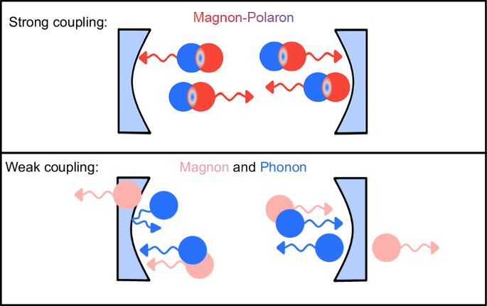 Magnon-polaron control in a surface magnetoacoustic wave resonator