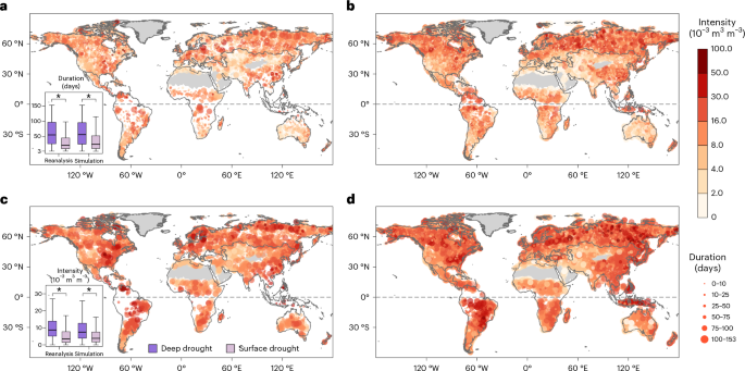 Anthropogenic enhancement of subsurface soil moisture droughts