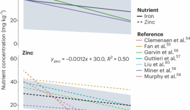Anticipating climate impacts on nutrition through climate–crop nutrient modelling