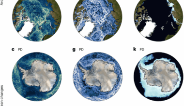 Future mesoscale horizontal stirring in polar oceans intensified by sea ice decline