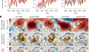 Increasing risk of mass human heat mortality if historical weather patterns recur