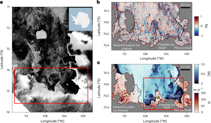 Ocean submesoscales as drivers of submarine melting within Antarctic ice cavities