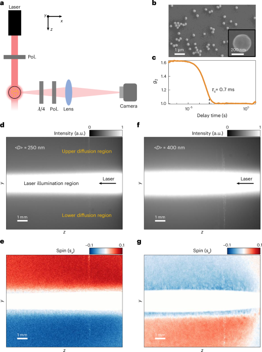 Brownian spin-locking effect | Nature Materials
