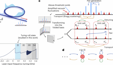Quadrature-dependent lattice dynamics of dissipative microcombs