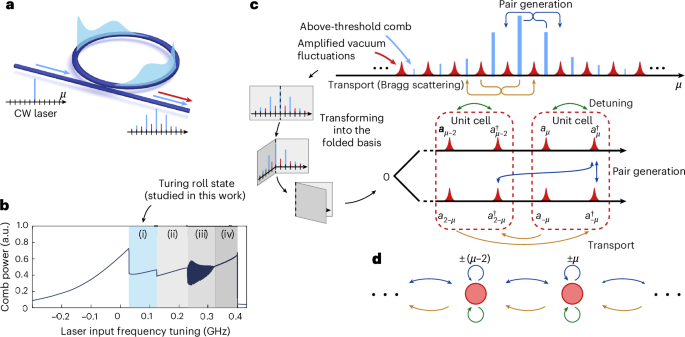 Quadrature-dependent lattice dynamics of dissipative microcombs
