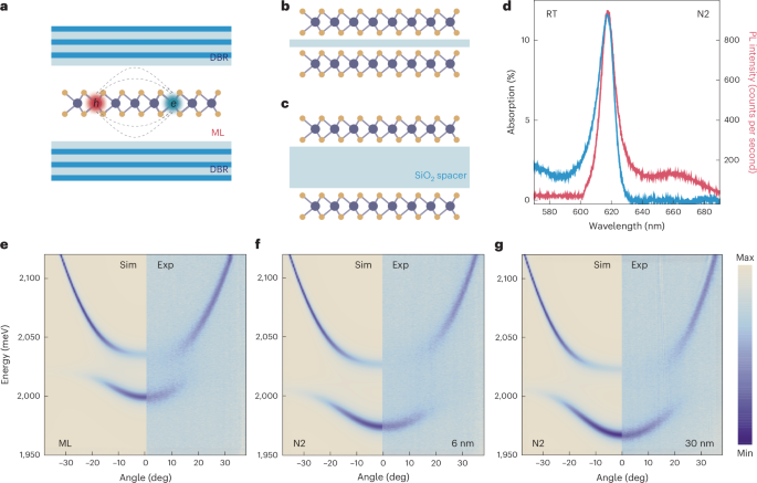 Room-temperature spin-layer locking of exciton–polariton nonlinearities in a WS2 microcavity