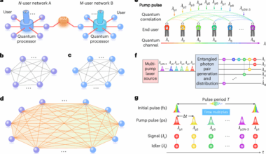 Quantum fusion of independent networks based on multi-user entanglement swapping