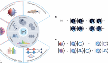 Progress in quantum structured light