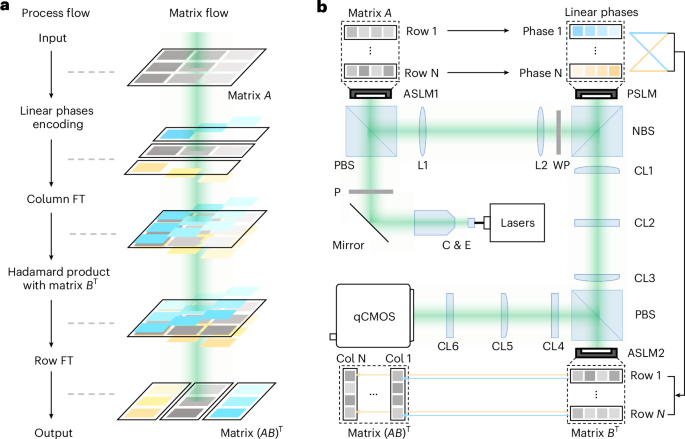 Direct tensor processing with coherent light