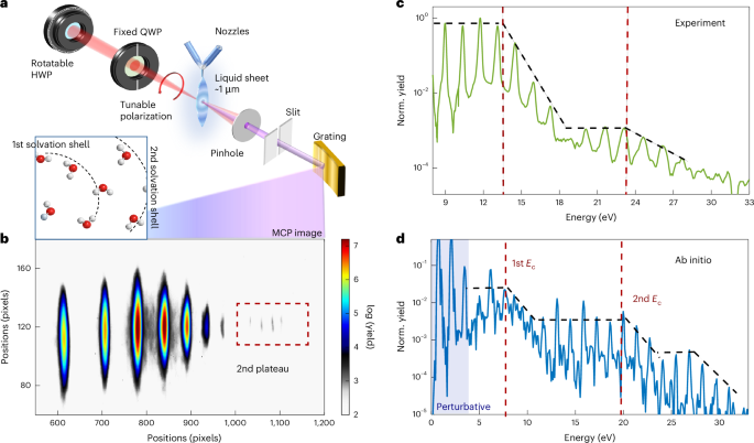 Multi-plateau high-harmonic generation in liquids driven by off-site recombination