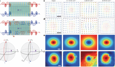 Electrically tuning photonic topological quasiparticles in synthetic two-level system