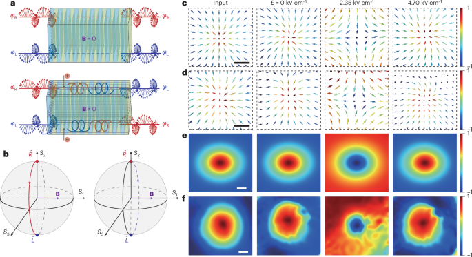 Electrically tuning photonic topological quasiparticles in synthetic two-level system