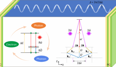 Electron‒phonon‒photon excitation in steady nonlinear lasing